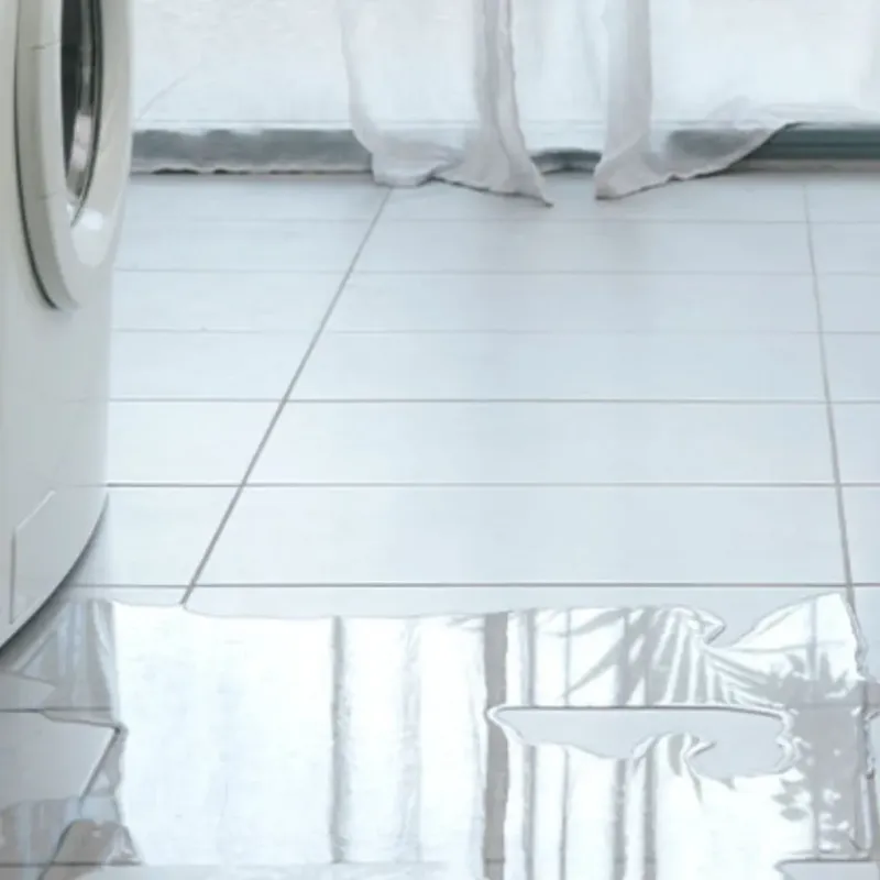 Appliance Leak Cleanup in Kingsley, MI