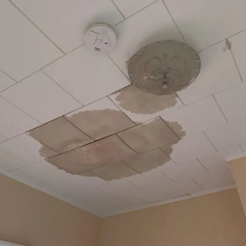Ceiling Water Damage Repair in Kingsley, MI