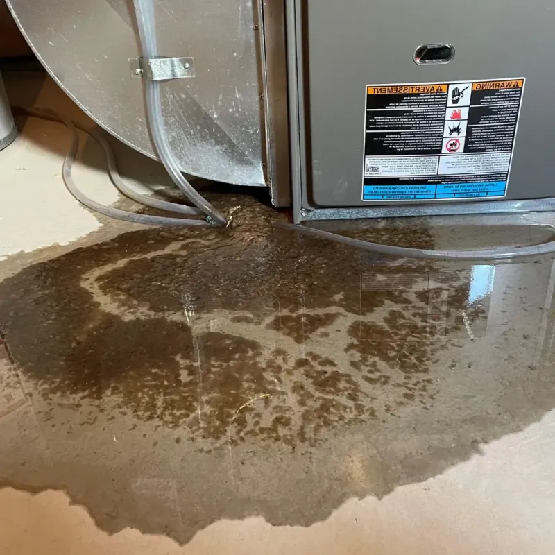 Pipe Burst and Leak Restoration in Kingsley, MI