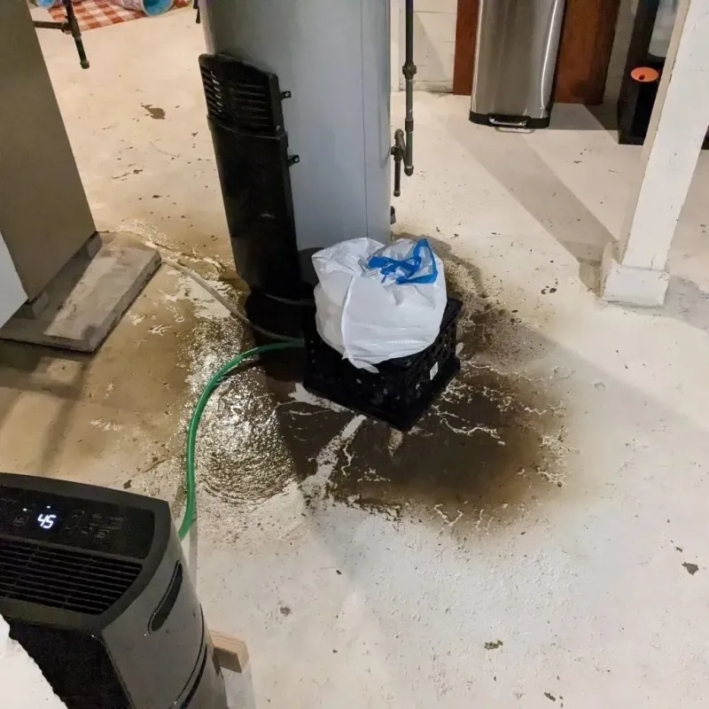 Sewage Backup Cleanup Service in Kingsley, MI